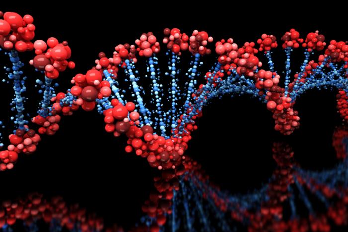 genes A Evolução Humana Existiu (Quer você Acredite ou Não)