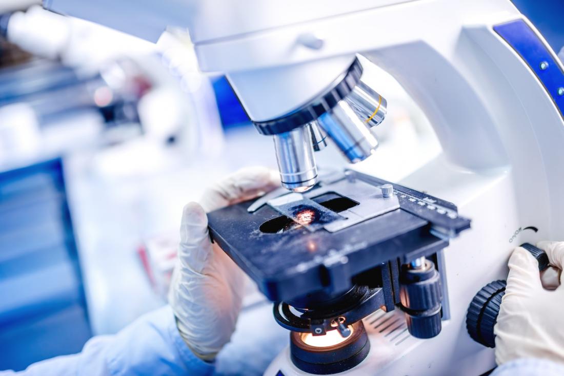 Tissue sample being inspected under microscope.