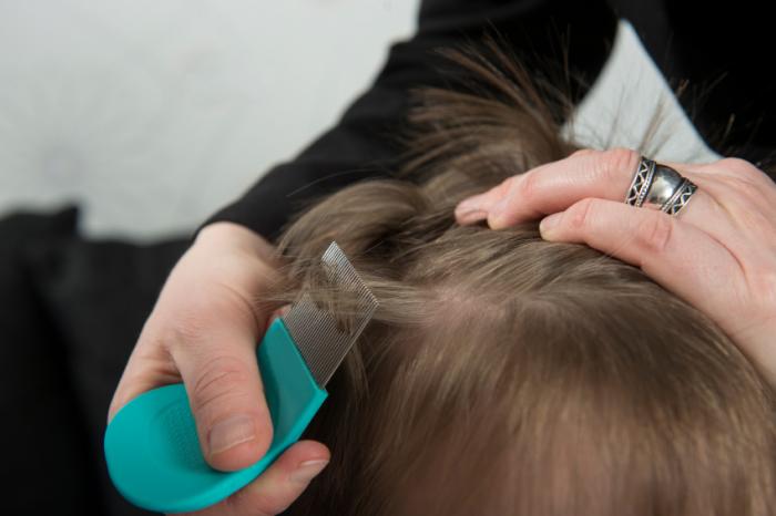 checking hair with nit comb