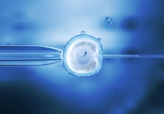 IVF of an egg cell