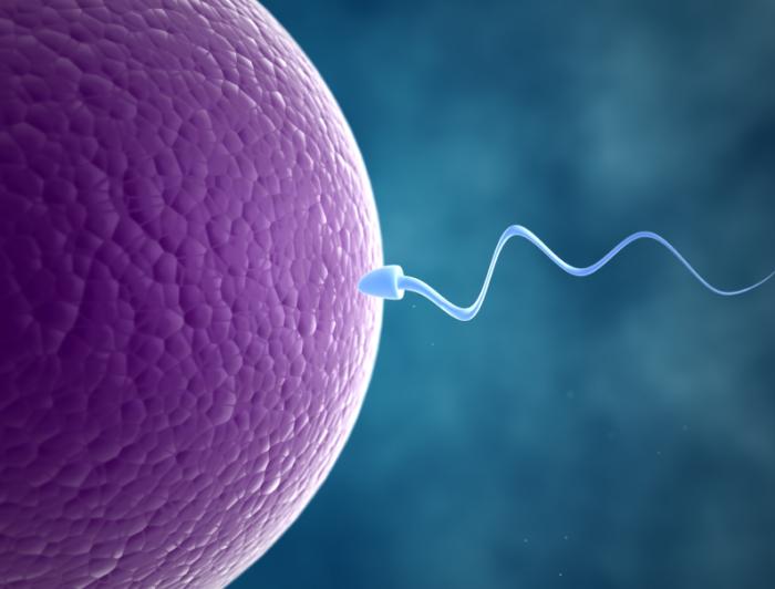 Causes Of Male Infertility