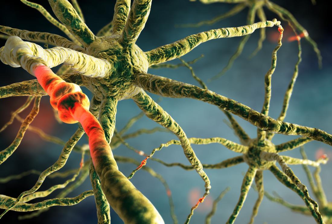 Neurons brain synapse
