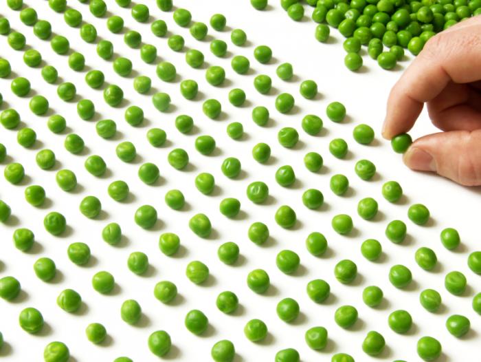 Peas in a row