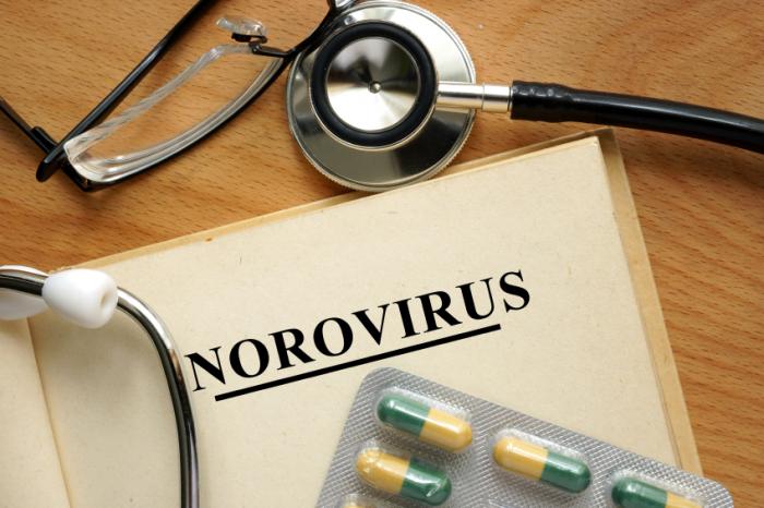 Norovirus written in book alongside pills and stethoscope.