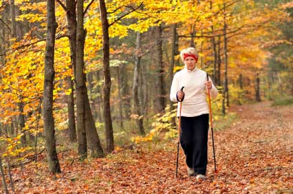 A lady nordic walking in the woods