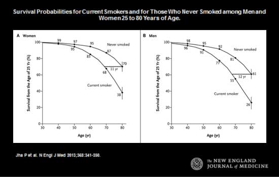 Survival Probabilities for Current Smokers and for Those Who Never Smoked among Men and Women 25 to 80 Years of Age.