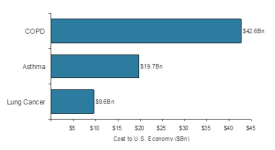 Diagram - Cost To The U.S. Economy (2009)