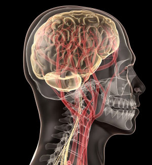 Head and neck x-ray
