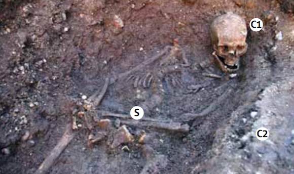 Skeleton of Richard III