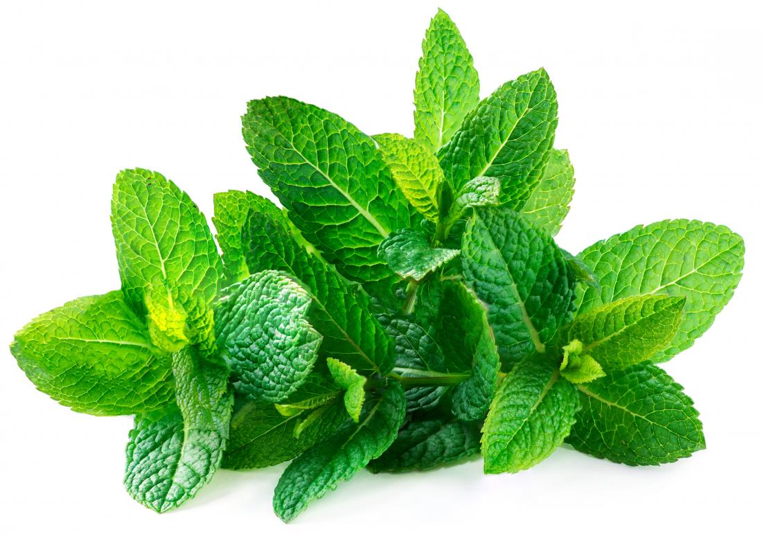 Spearmint Oil - Benefits, Uses, and Applications of Spearmint Oil