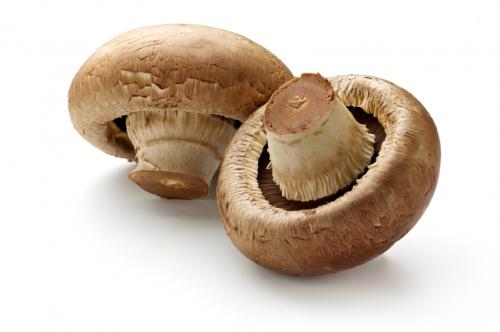 Mushrooms