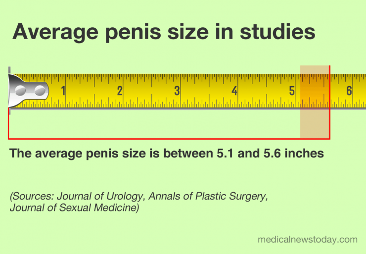 Average caucasian penis length