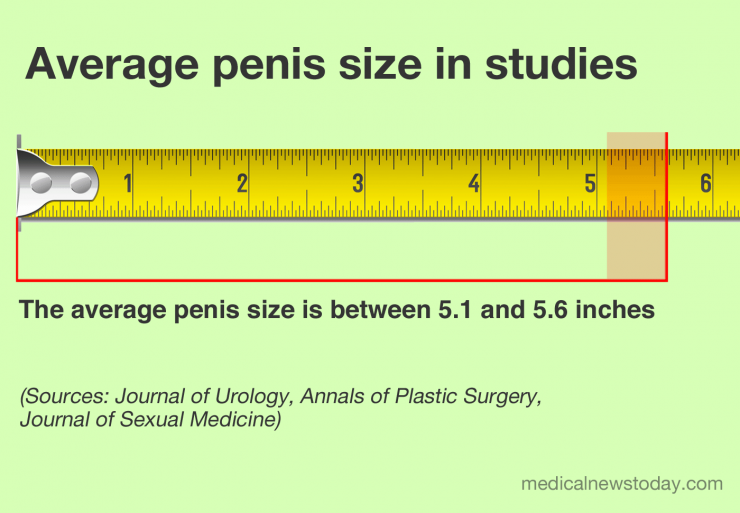 Men S Penin Size Comparer Sa Taille De P nis Par Rapport La 
