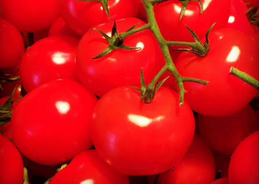 fresh red tomatoes