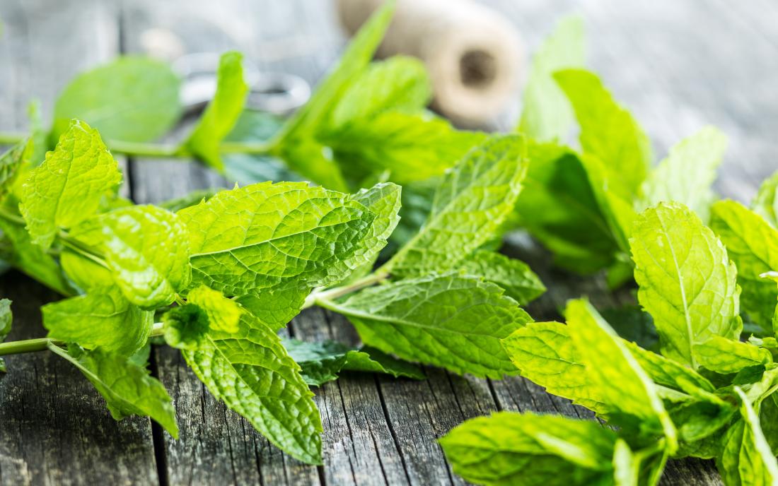 Mint On A Wooden Table 