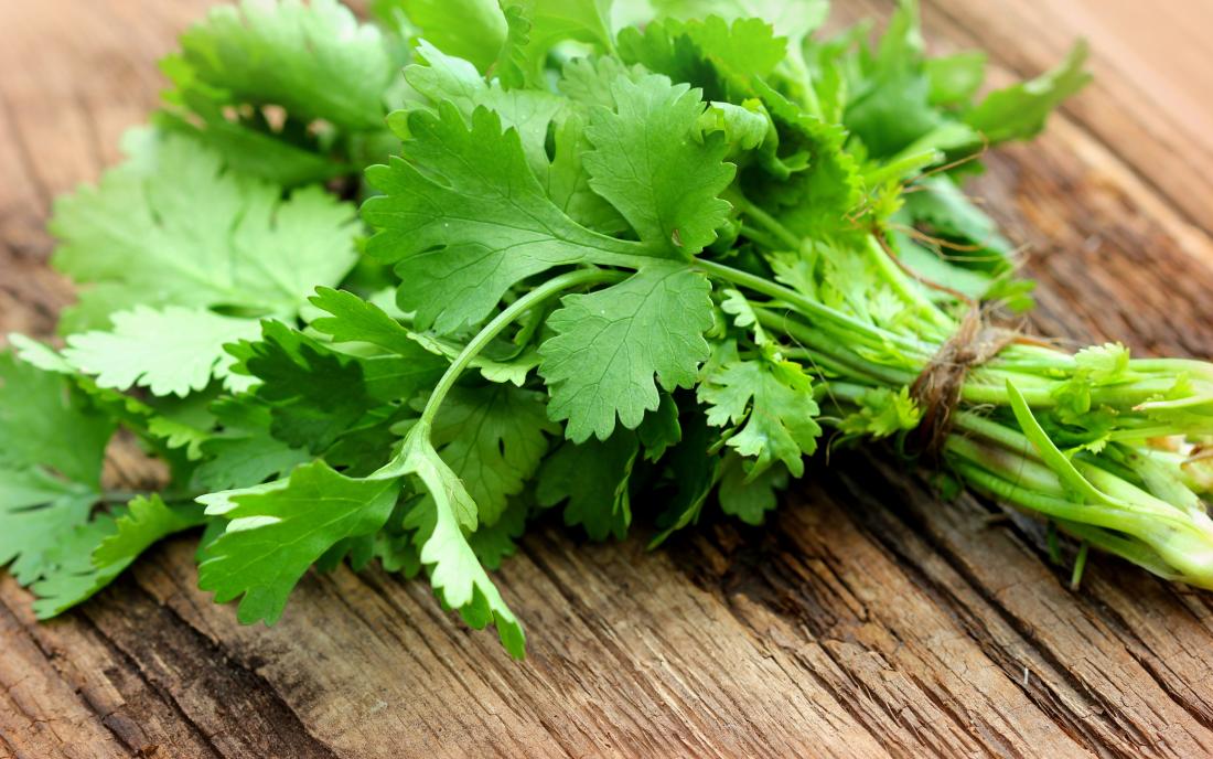 Cilantro coriander Benefits nutrition and preparation tips