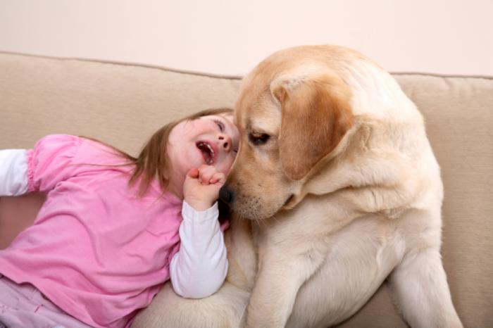 Animal-assisted therapy: is it undervalued as an alternative treatment?