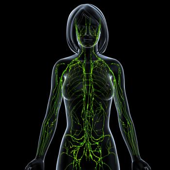 Lymphatic system