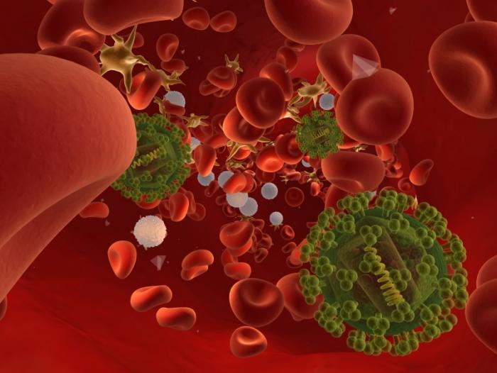hiv virus and blood cells
