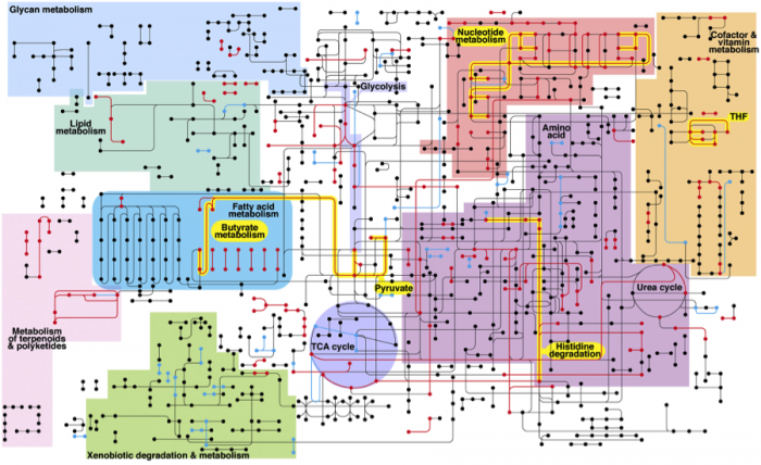 Like a big subway map