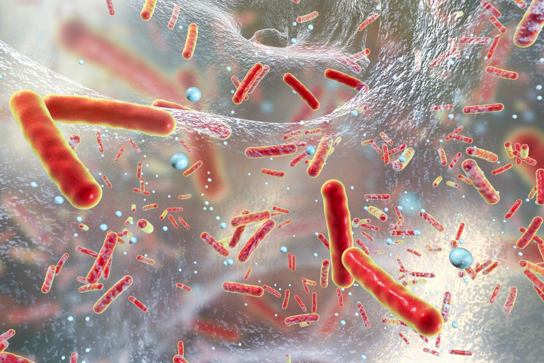 Exposing the Antimicrobial Bacteria Facts - Does It Really Work?