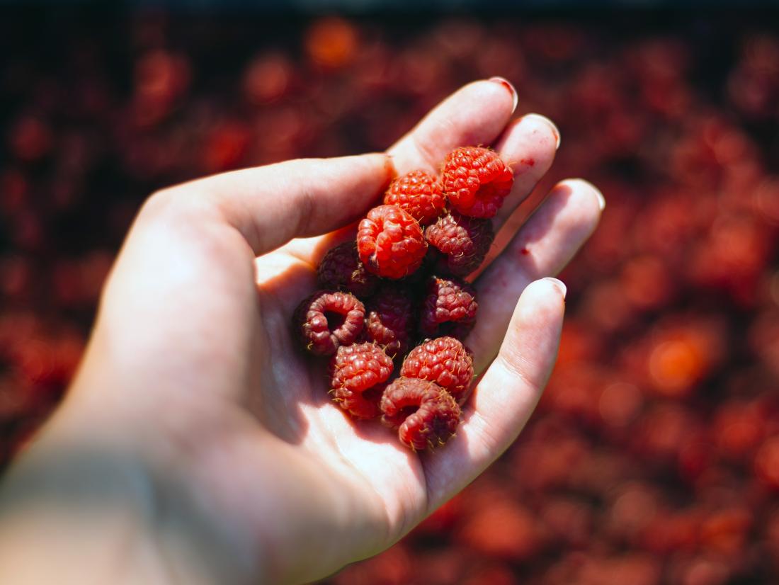 Red Raspberry vs. Black Raspberry: What's the Difference?