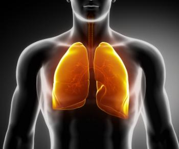 diagram of human lungs