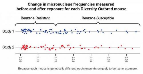This graph shows the change in micronucleus frequencies measured before and after exposure for each Diversity Outbred mouse]
