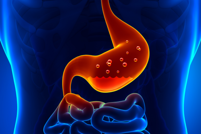 gastric acid in stomach