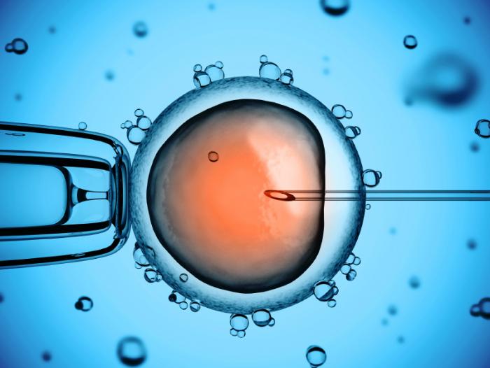 Researchers identify factors that may boost success of artificial
