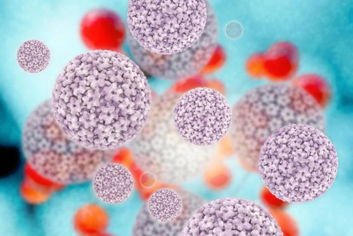 hpv virus