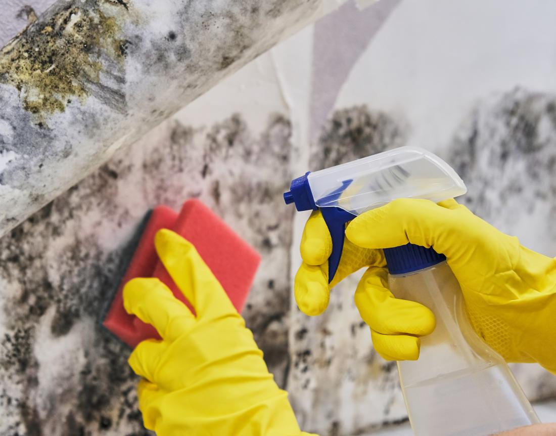 Mold in the home: how big a health problem is it?