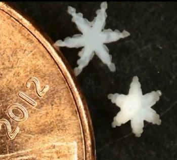microgrippers