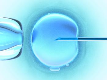 In vitro fertilization