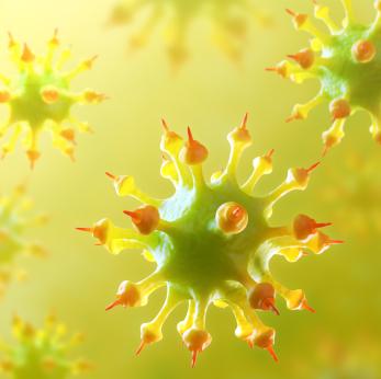 Image of a virus.