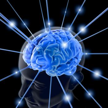 An illustration of the human brain