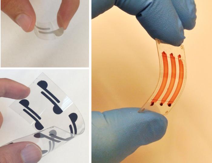 cellulose paper and flexible polyester films being used as diagnostic tools to detect bioagents
