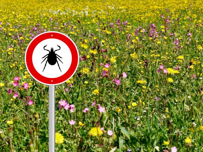 Tick warning sign in a meadow.