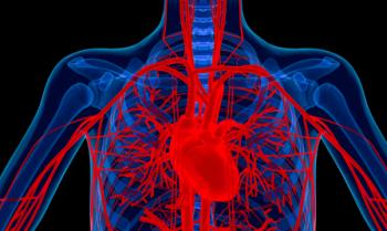 diagram of chest showing heart and vessels