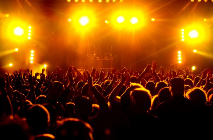 A crowd at a live music venue.