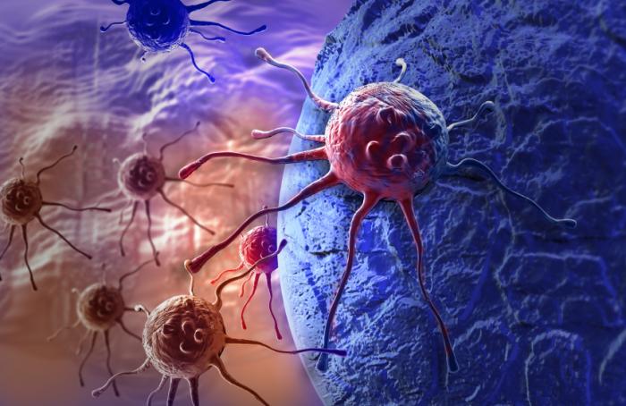Cancer cells