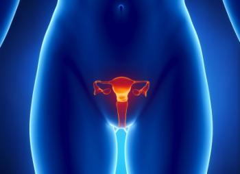 Woman's reproductive system
