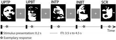 How the Brain Recognizes Faces