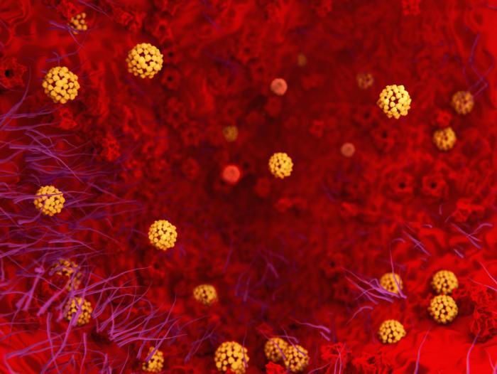MERS-CoV in the lungs.