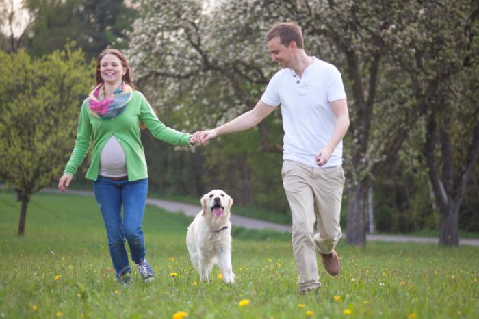 A pregnant woman and a man are walking a dog.
