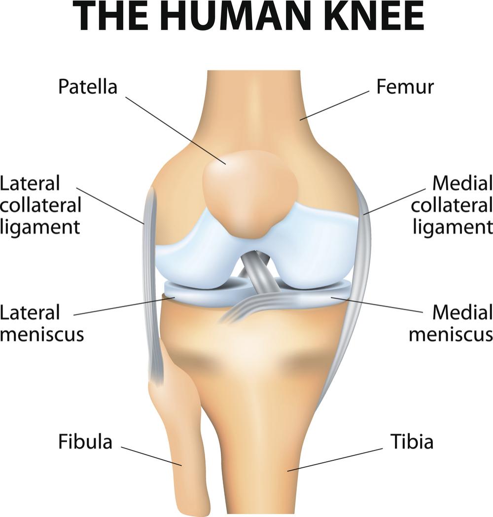 Knee Injury Chart