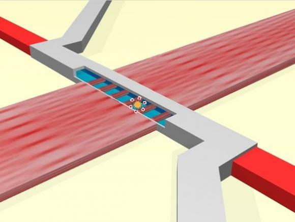 Diagram of Optofluidic Chip