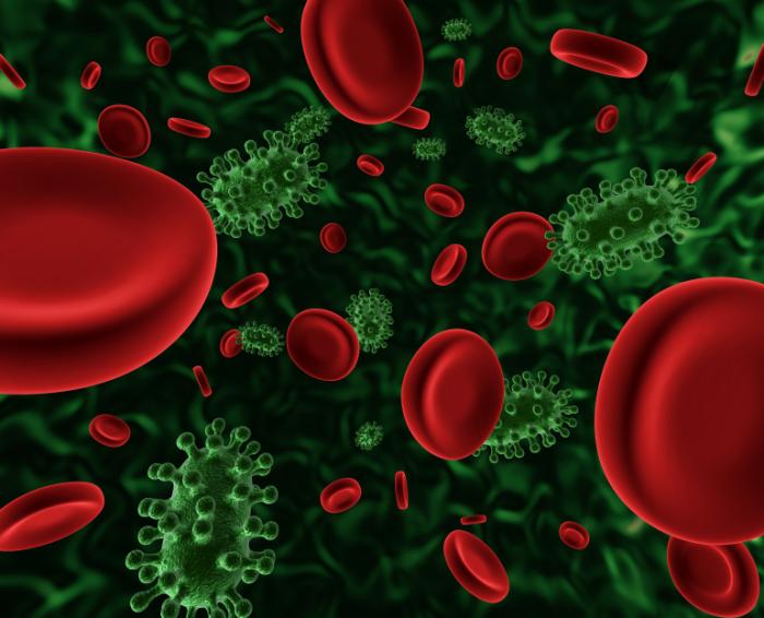 Illustration of MRSA infection