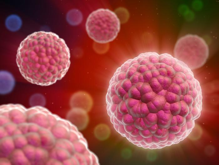 cancer cells