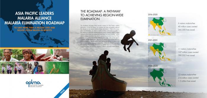 Malaria Elimination Roadmap